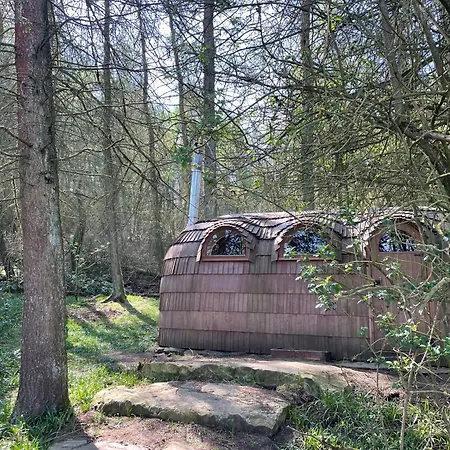 Micklethorn At Broughton Sanctuary *