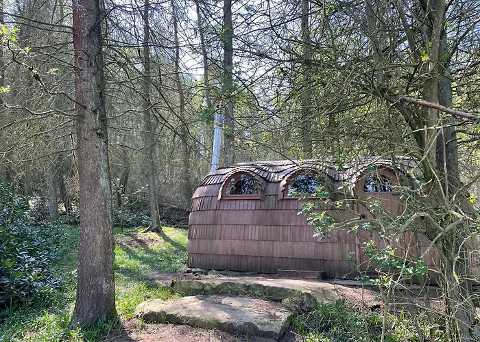 Micklethorn At Broughton Sanctuary *